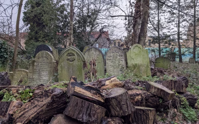 Zwischen Efeu und Ewigkeit – die dunkle Poesie des Abney Park Cemetery